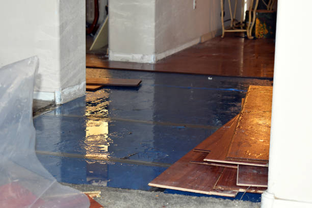 Professional Basement Flooding technician working in Milano, TX
